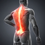 What are the different types of back pain
